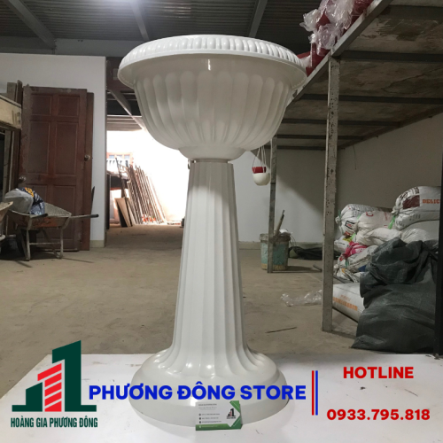 Chậu Ly trồng cây